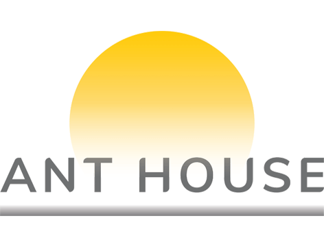 Ant House